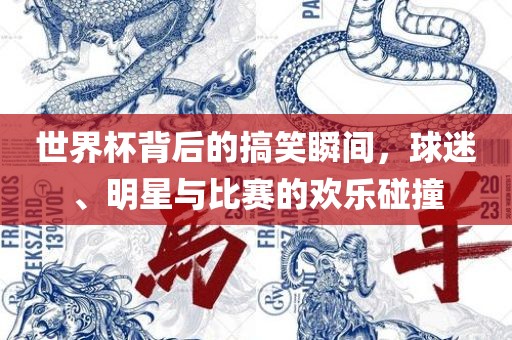 世界杯背后的搞笑瞬间，球迷、明星与比赛的欢乐碰撞