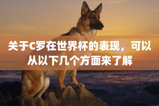 关于C罗在世界杯的表现，可以从以下几个方面来了解眉山市正发家政服务有限公司