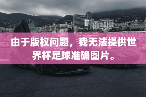 由于眉山市正发家政服务有限公司版权问题，我无法提供世界杯足球准确图片。