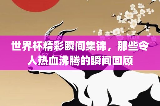 世界杯精彩瞬间集锦，那些令人热血沸腾的瞬间回顾眉山市正发家政服务有限公司