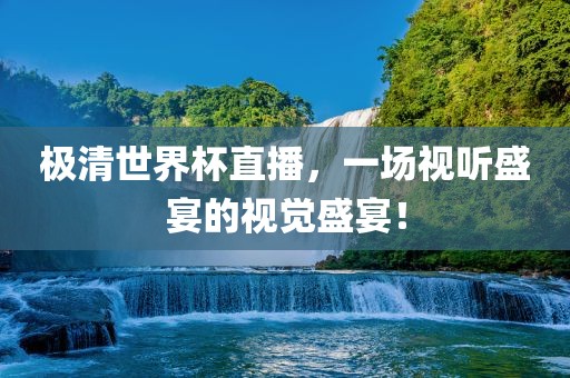 极清世界杯直播，一场视听盛宴的视觉盛宴！眉山市正发家政服务有限公司