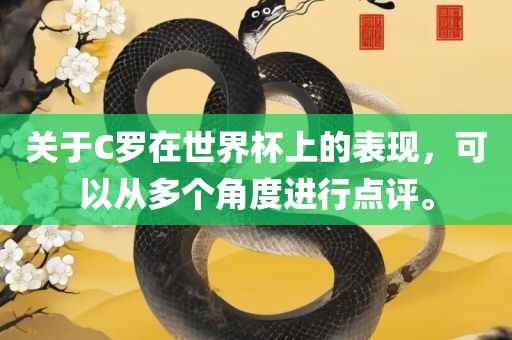 关于C眉山市正发家政服务有限公司罗在世界杯上的表现，可以从多个角度进行点评。