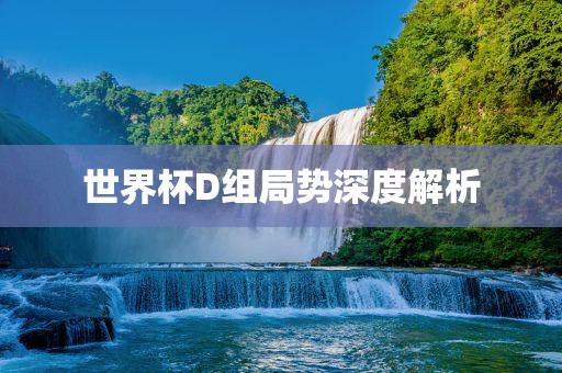 世界杯D组局眉山市正发家政服务有限公司势深度解析
