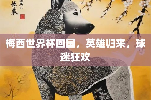 梅西世界杯回国，英雄归来眉山市正发家政服务有限公司，球迷狂欢