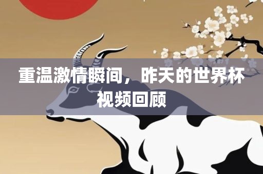 重温激情瞬间，昨天的世界杯视频回顾