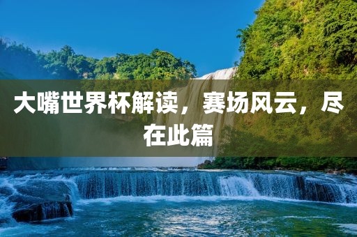 大嘴世界杯解读，赛场风云，尽在此篇