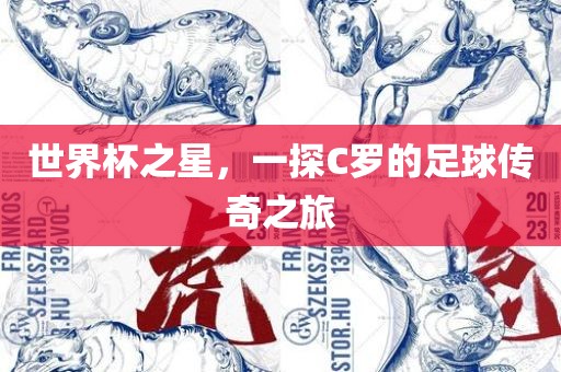 世界杯之星，一探C罗的足球传奇之旅