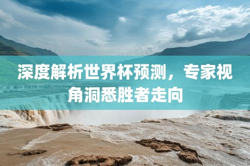 深度解析世界杯预测，专家视角洞悉胜者走向