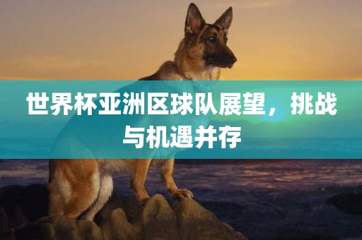 世界杯亚洲区球队展望，挑战与机遇并存