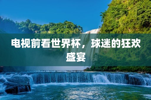 电视前看世界杯，球迷的狂欢盛宴眉山市正发家政服务有限公司