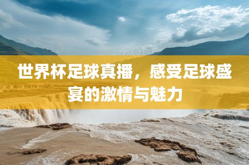世界杯足球真播，感受足球盛宴的激情与魅力