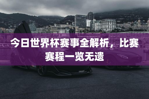 今日世界杯赛事全解析，比赛赛程一览无遗