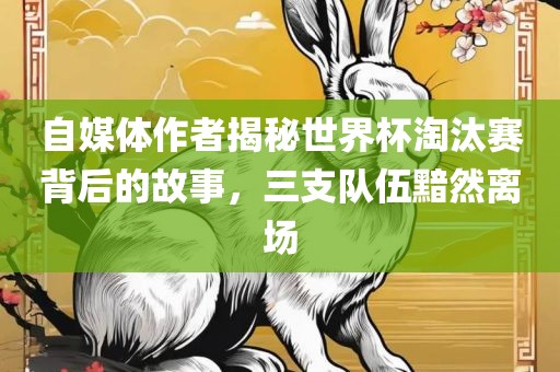 自媒体作者揭秘世界杯淘汰赛背后的故事，三支队伍黯然离场
