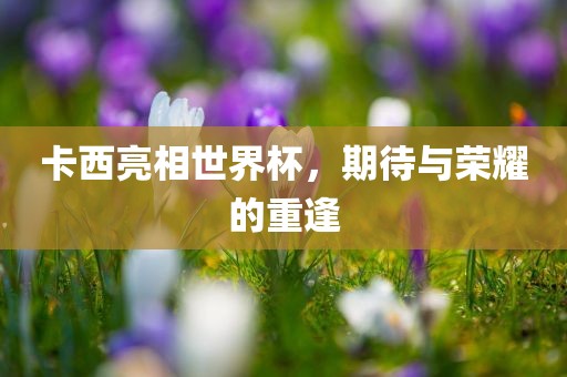 卡西亮相世界杯，期待与荣耀的重逢