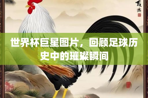 世界杯巨星图片，回顾足球历史中的璀璨瞬间