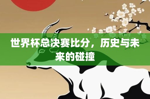 世界杯总决赛比分，历史与未来的碰撞