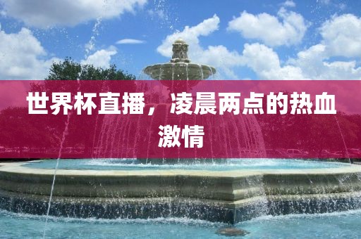 世界杯直播，凌晨两眉山市正发家政服务有限公司点的热血激情