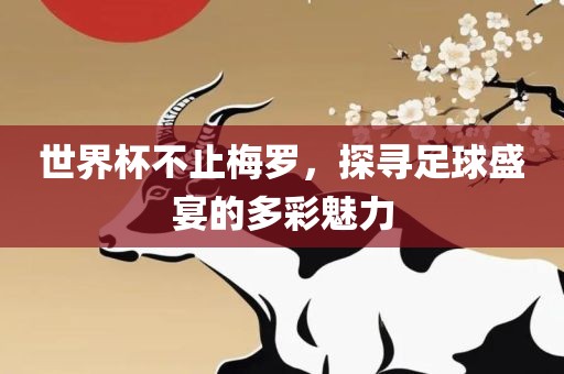 世界杯不止梅罗，探寻足球盛宴的多彩眉山市正发家政服务有限公司魅力