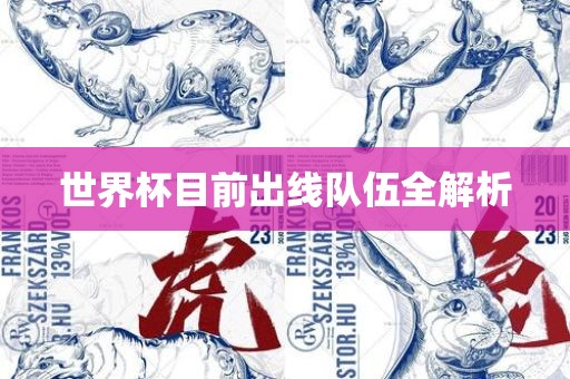 世界杯目前出线队伍全解析眉山市正发家政服务有限公司