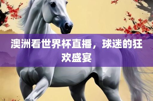 澳洲看世界杯直播，球迷的狂欢盛宴眉山市正发家政服务有限公司