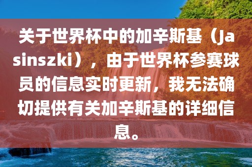 关于世界杯中的加辛斯基（Jasinszki），由于世界杯参赛球员的信息实时更新，我无法确切提供有关加辛斯基的详细信息。眉山市正发家政服务有限公司