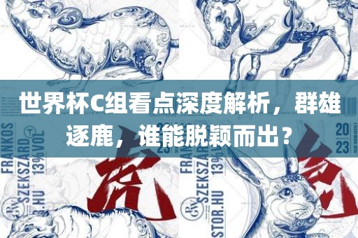 世界杯C组看点深度解析，群雄逐鹿，谁能脱颖而出？