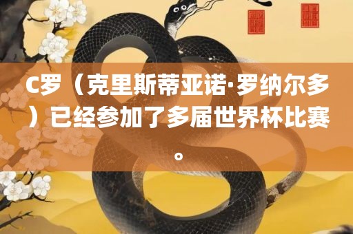 C罗（克里斯蒂亚诺·罗纳尔多）已经参加了多届世界杯比赛。