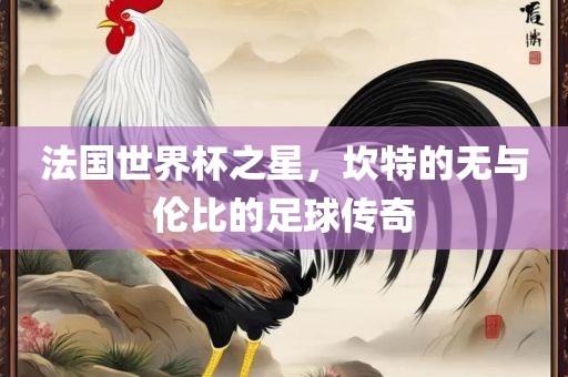 法国世界杯之星，坎特的无与伦比的足球传奇