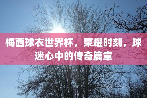 梅西球衣世界杯，荣耀时刻，球迷心中的传奇篇章眉山市正发家政服务有限公司
