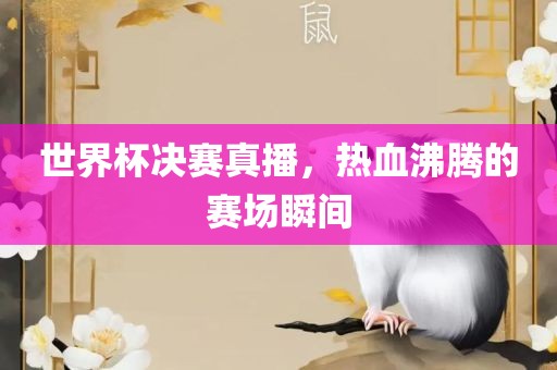 世界杯决赛直播