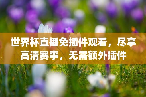 世界杯直播免插件观看，尽享高清赛事，无需额外插件眉山市正发家政服务有限公司