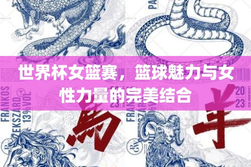 世界杯女篮赛，篮球魅力与女性力量的完美结合