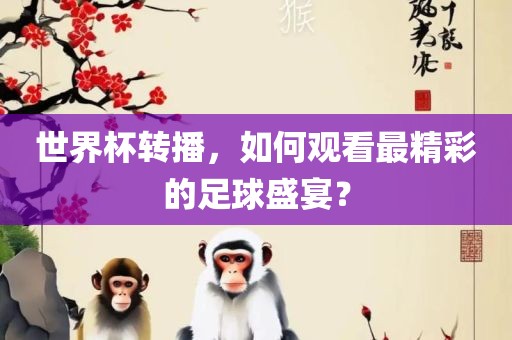 世界杯转播，如何观看最精彩的足球盛宴？