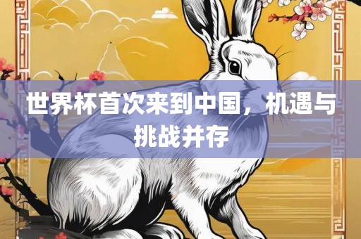 世界杯首次来到中国，机遇与挑战并存