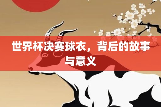世界杯决赛球衣，背后的故事与意义