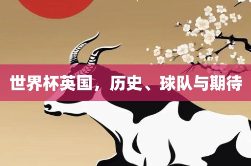 世界杯英国，历史、球队与期待