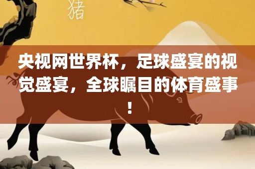 央视网世界杯，足球盛宴的视觉盛宴，全球瞩目的体育盛事！