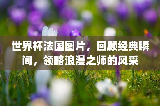 世界杯法国图片，回顾经典瞬间，领略浪漫之师的风采