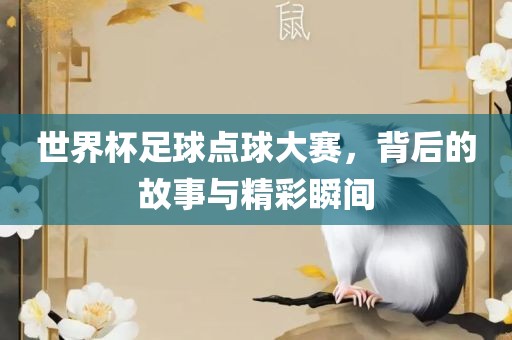 世界杯足球点球大赛，背后的故事与精彩瞬间