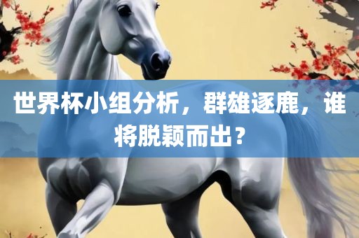 世界杯小组分析，群雄逐鹿，谁将脱颖而出？