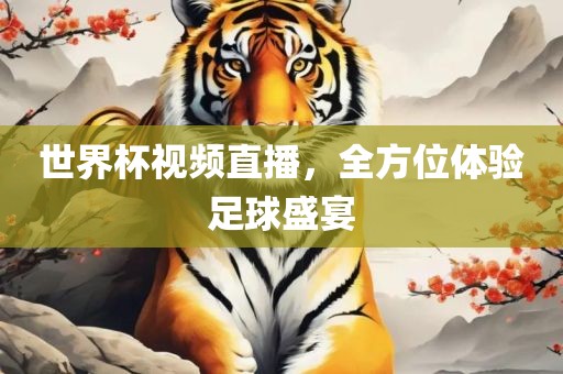 世界杯视频直播，全方位体验足球盛宴
