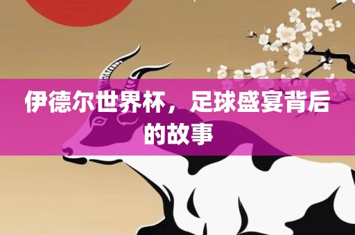伊德尔世界杯，足球盛宴背后的故事
