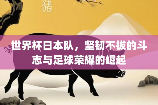 世界杯日本队，坚韧不拔的斗志与足球荣耀的崛起