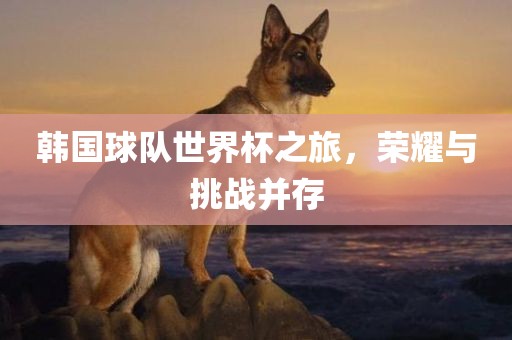 韩国球队世界杯之旅，荣耀与挑战并存