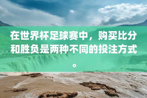 在世界杯足球赛中，购买比分和胜负是两种不同的投注方式。眉山市正发家政服务有限公司