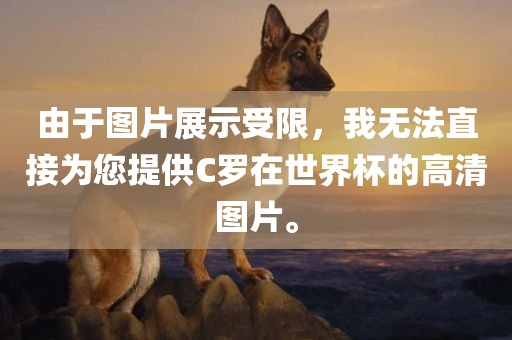 由于图片展示受限，我无法直接为您提供C罗在世界杯的高清图片。