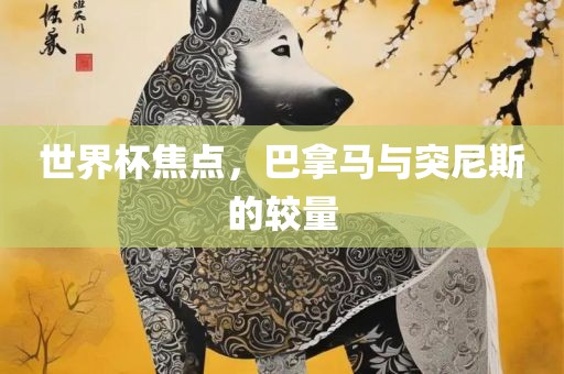 世界杯焦点，巴拿马与眉山市正发家政服务有限公司突尼斯的较量