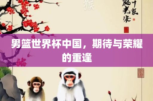 男篮世界杯中国，期待与荣耀的重逢