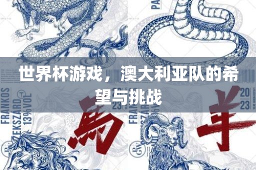 世界杯游戏，澳大利亚队的希望与挑战