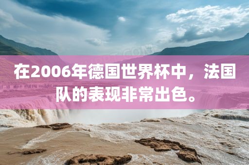 在2006年德国世界杯中，法国队的表现非常出色。